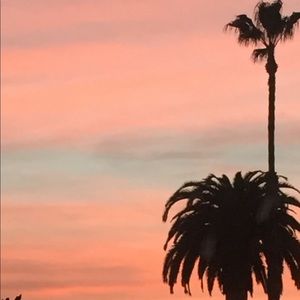 Meet your Posher, Katrina